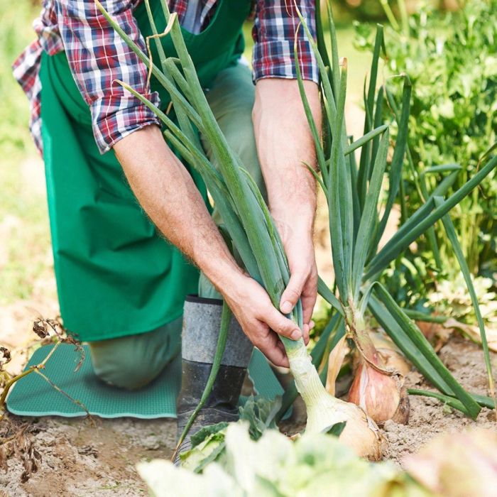 Теплица MALATEC 4,5х3х2 м 13,5 м²