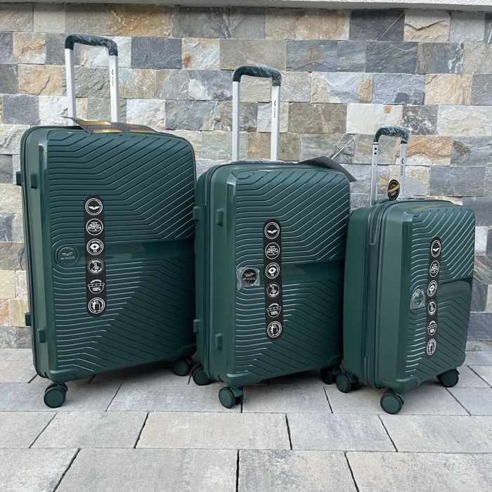 Валіза дорожня мала з поліпропілену Wings DQ181-04 S Зелений