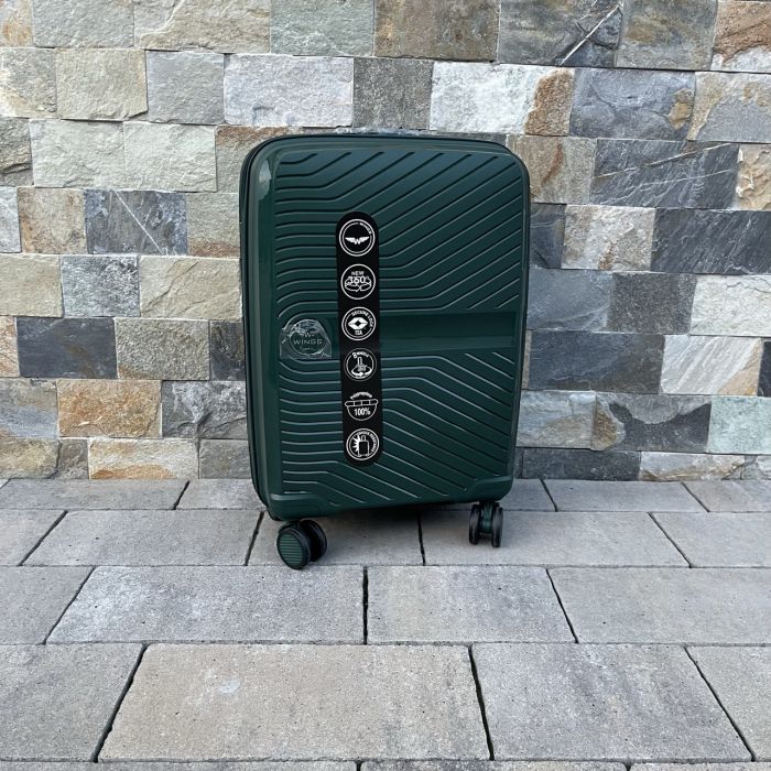 Валіза дорожня мала з поліпропілену Wings DQ181-04 S Зелений